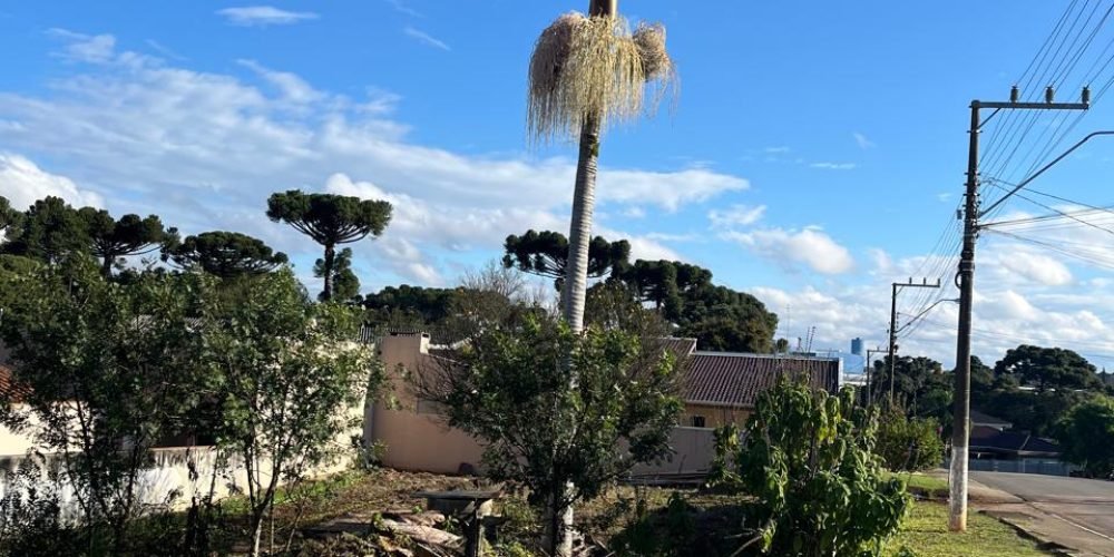 WhatsApp Image 2025-06-03 at 21.02.02(10)