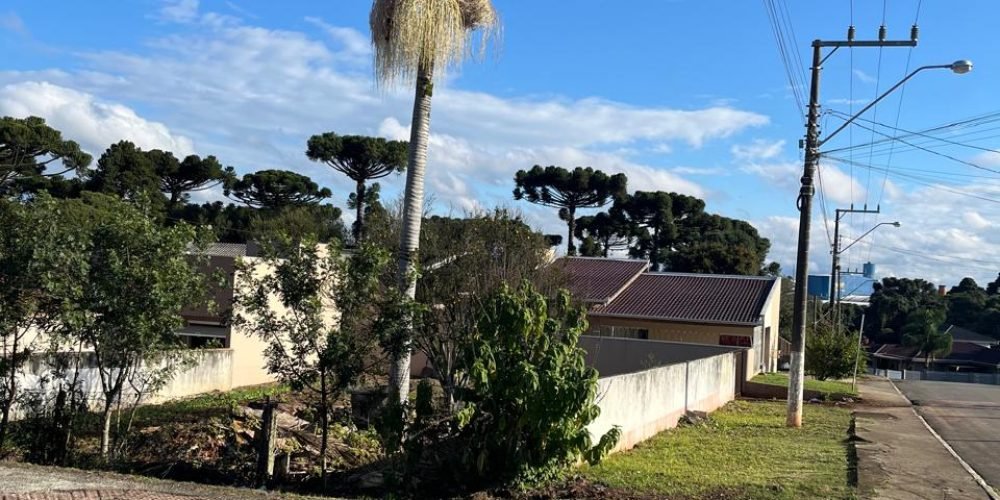 WhatsApp Image 2025-06-03 at 21.02.02(11)