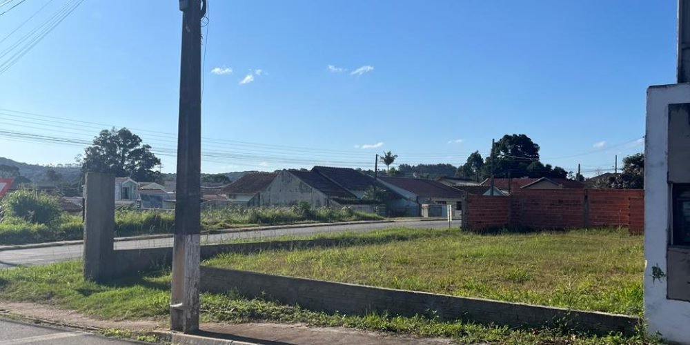 WhatsApp Image 2025-06-17 at 15.16.21(2)